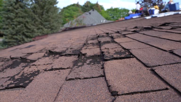 Best Commercial Roofing Services  in Highland, CA